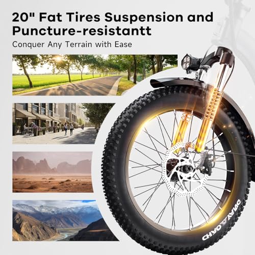 20" Folding Electric Bike with 48V20A Removable Lithium-Battery L498