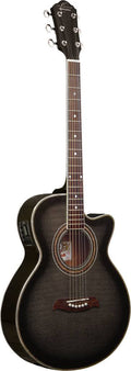 Cutaway Acoustic-Electric Guitar W295