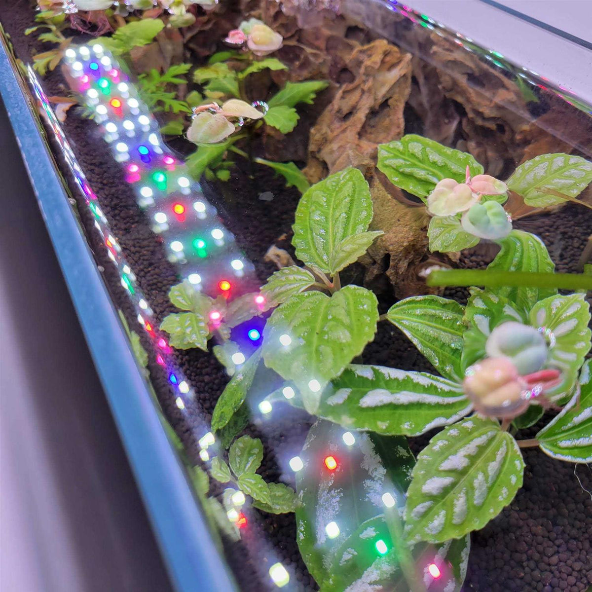 Full Spectrum LED Aquarium Light O492366