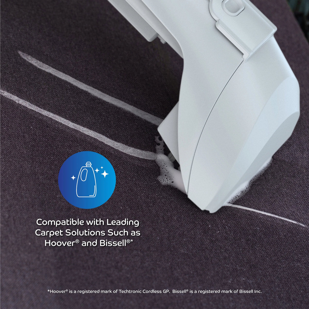 Portable Carpet and Upholstery Cleaner Z807006