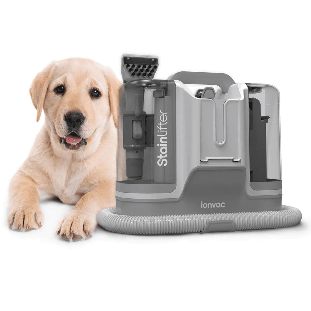 Portable Carpet and Upholstery Cleaner Z807006