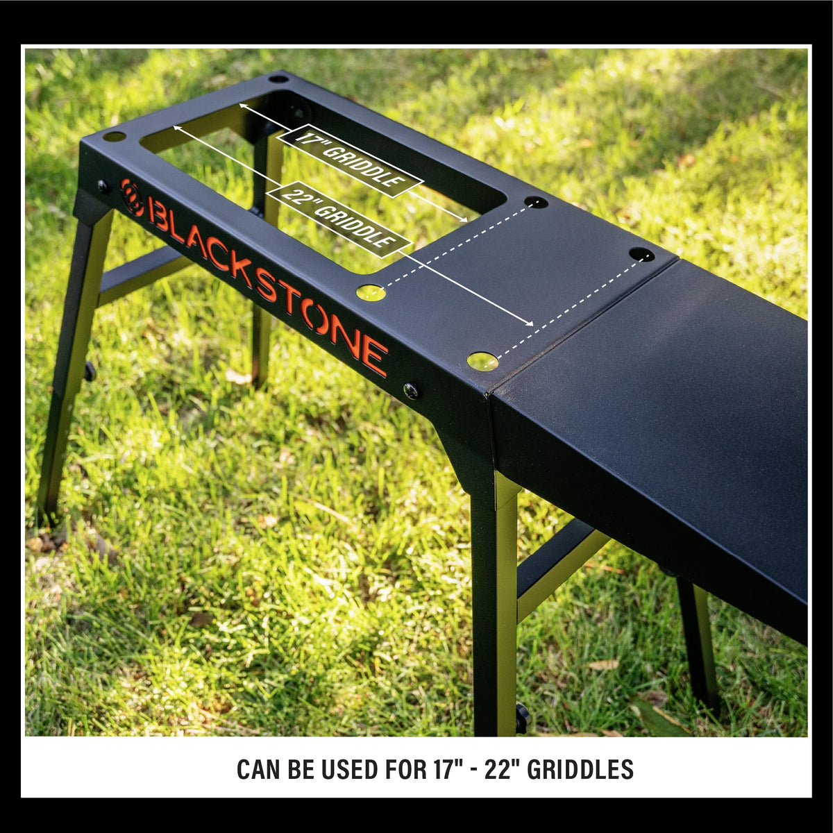 Portable Griddle Grill Stand L861952