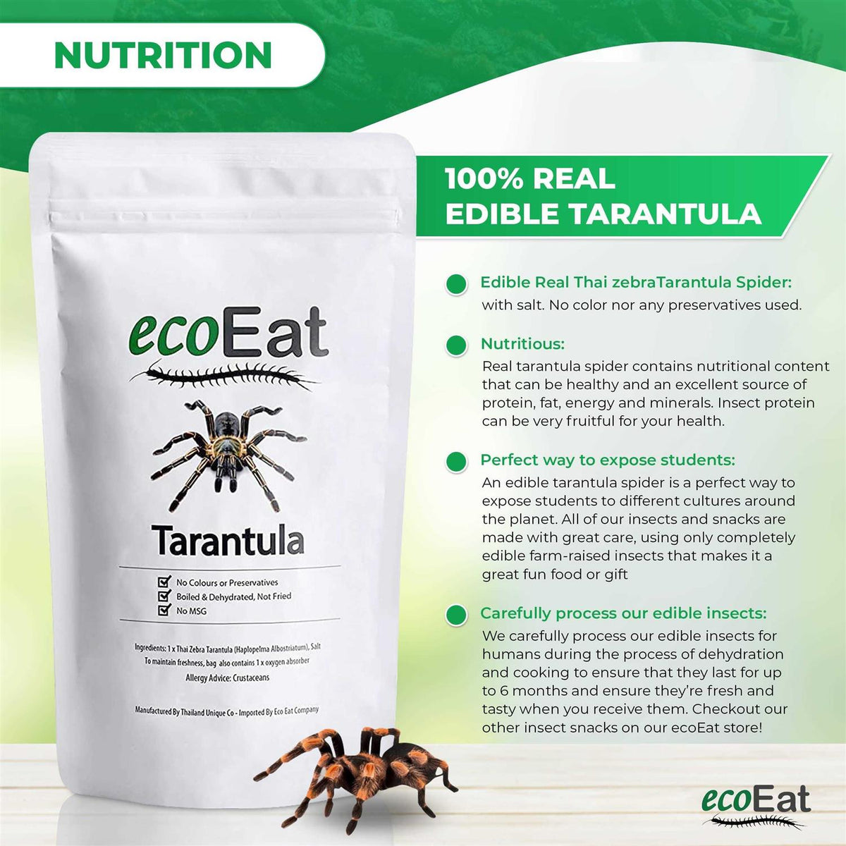 Edible Dehydrated Zebra Tarantula Insect C874