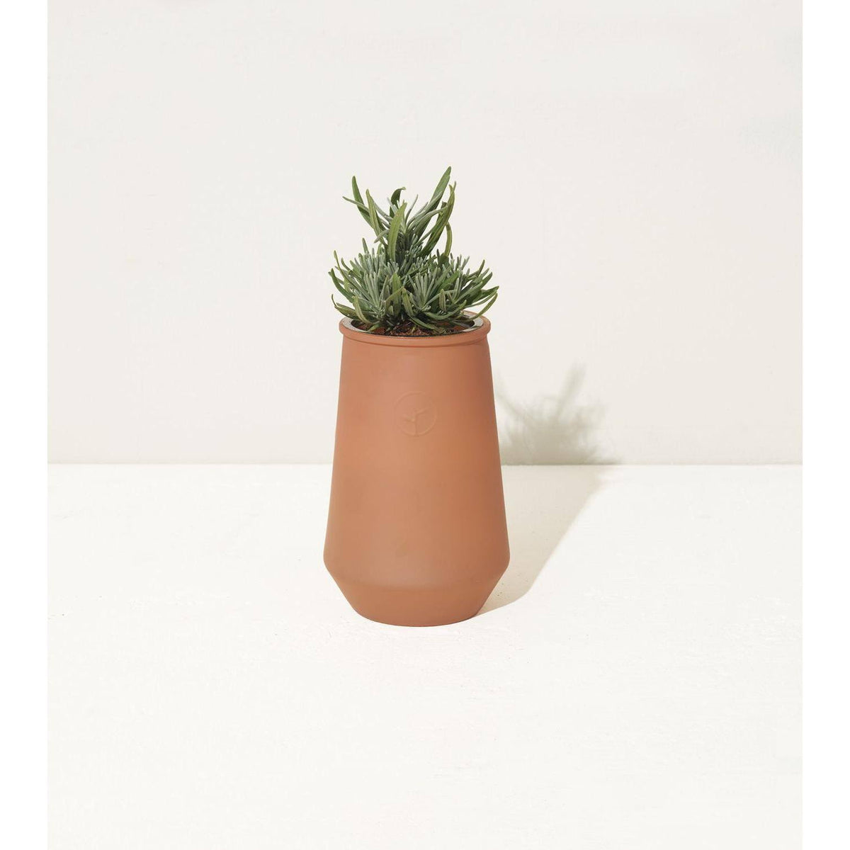 Tapered Tumbler Grow Kits, Indoor Garden Kit, Lavender & Eucalyptus (2 Jars) P245383