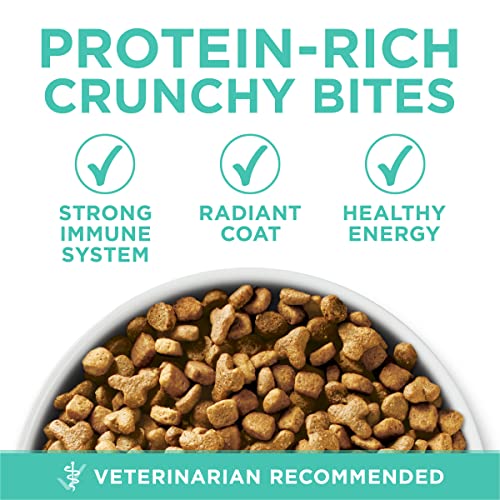 22 lb. Natural Dry Cat Food B35181