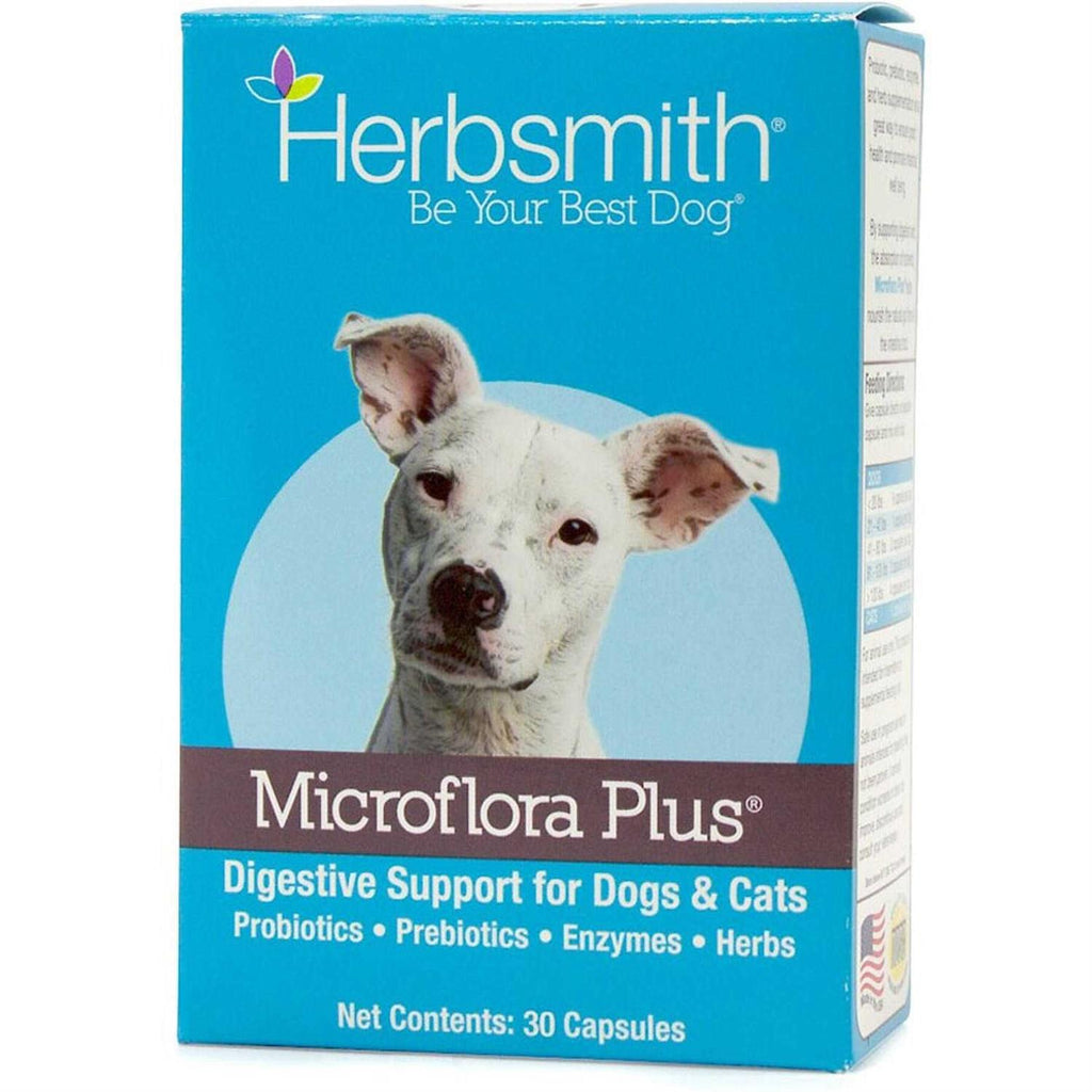Microflora Plus for Digestion Pet Supplies J7261