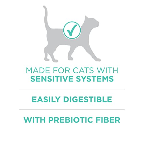 22 lb. Natural Dry Cat Food B35181