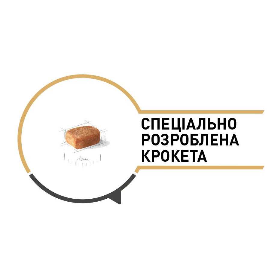 Chihuahua Puppy Dry Dog Food Q435