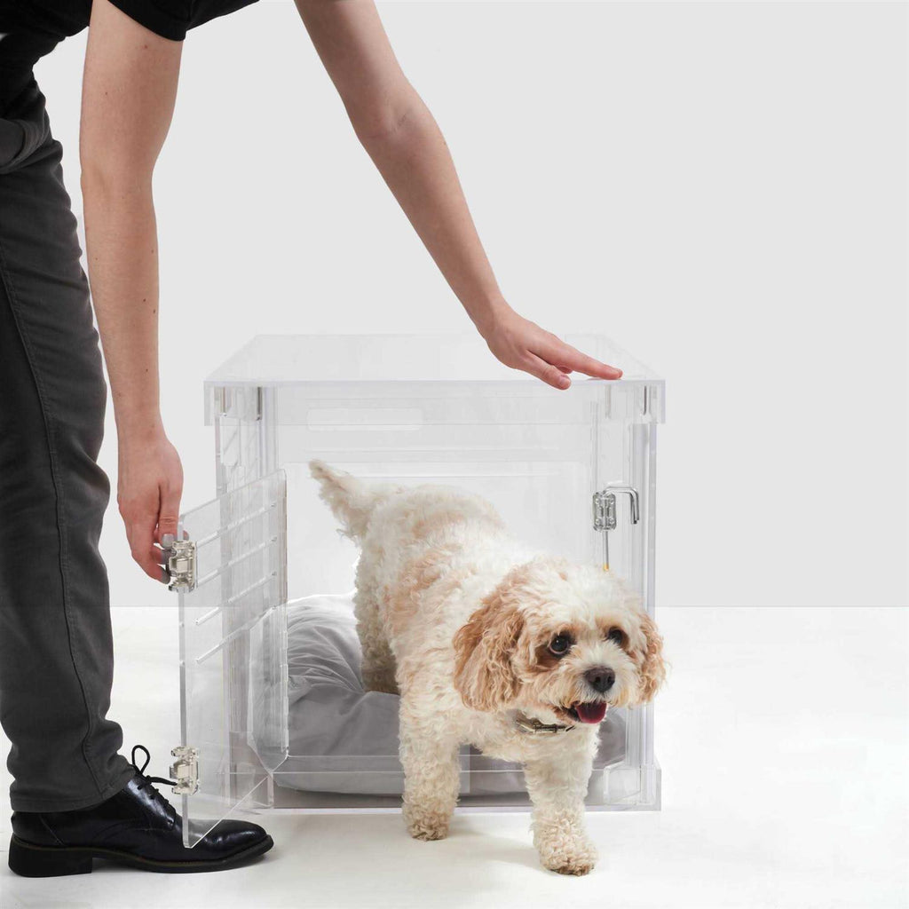 Clear Dog Crate to Gate M497