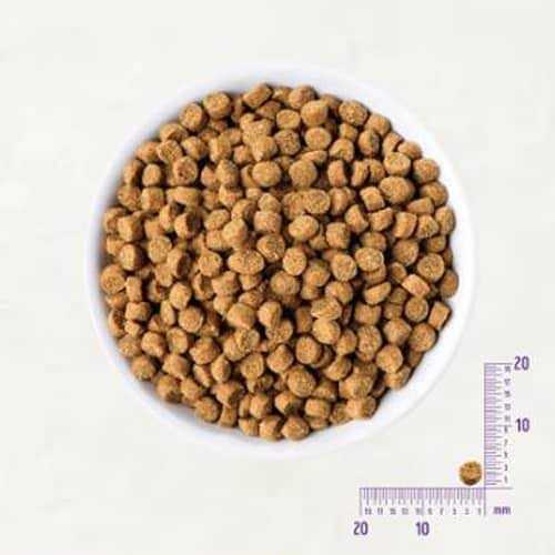 Grain Free Small Breed Dry Puppy Food N658
