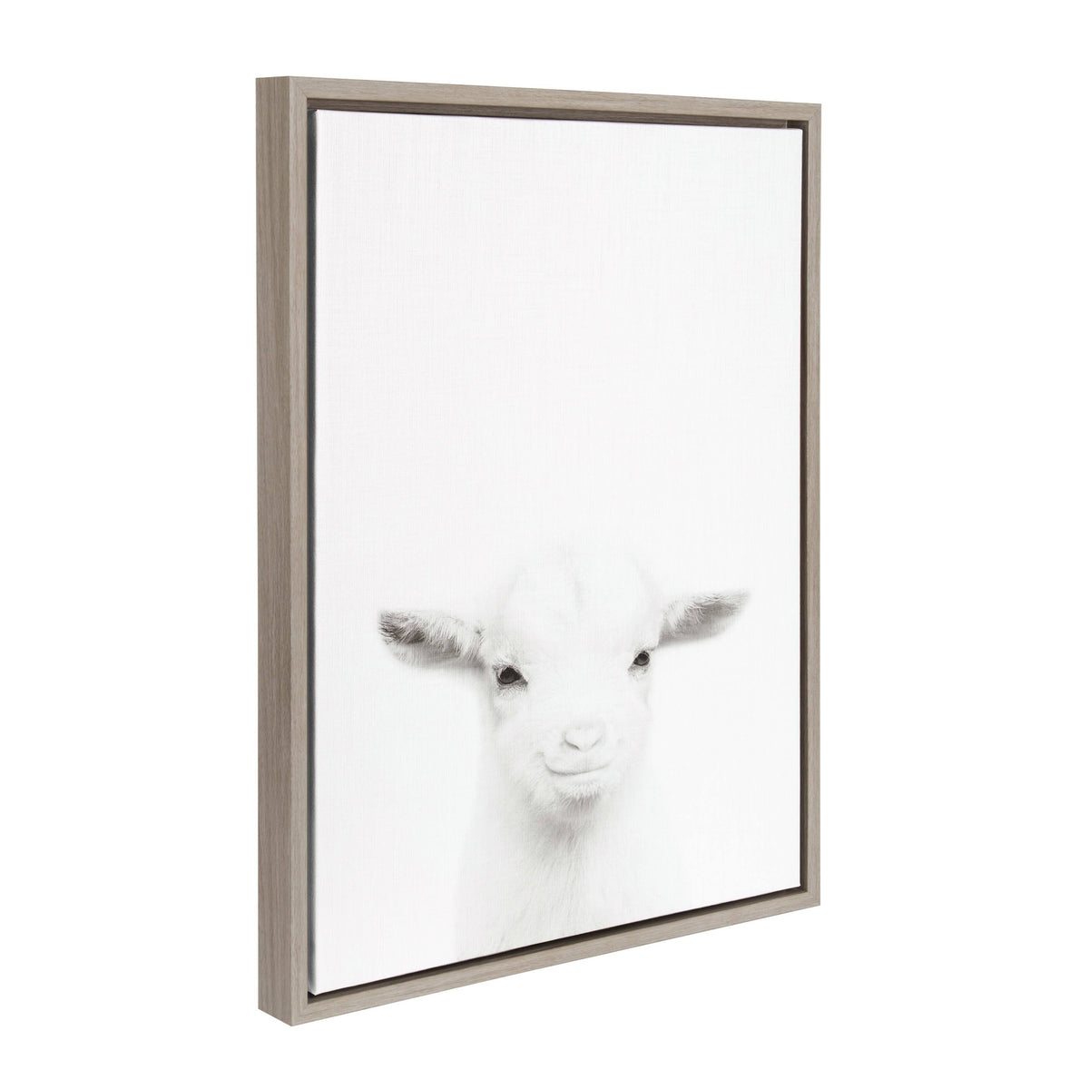 Gray Framed Canvas U177509