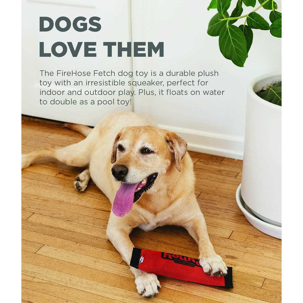 Fetch Dog Toy V1693
