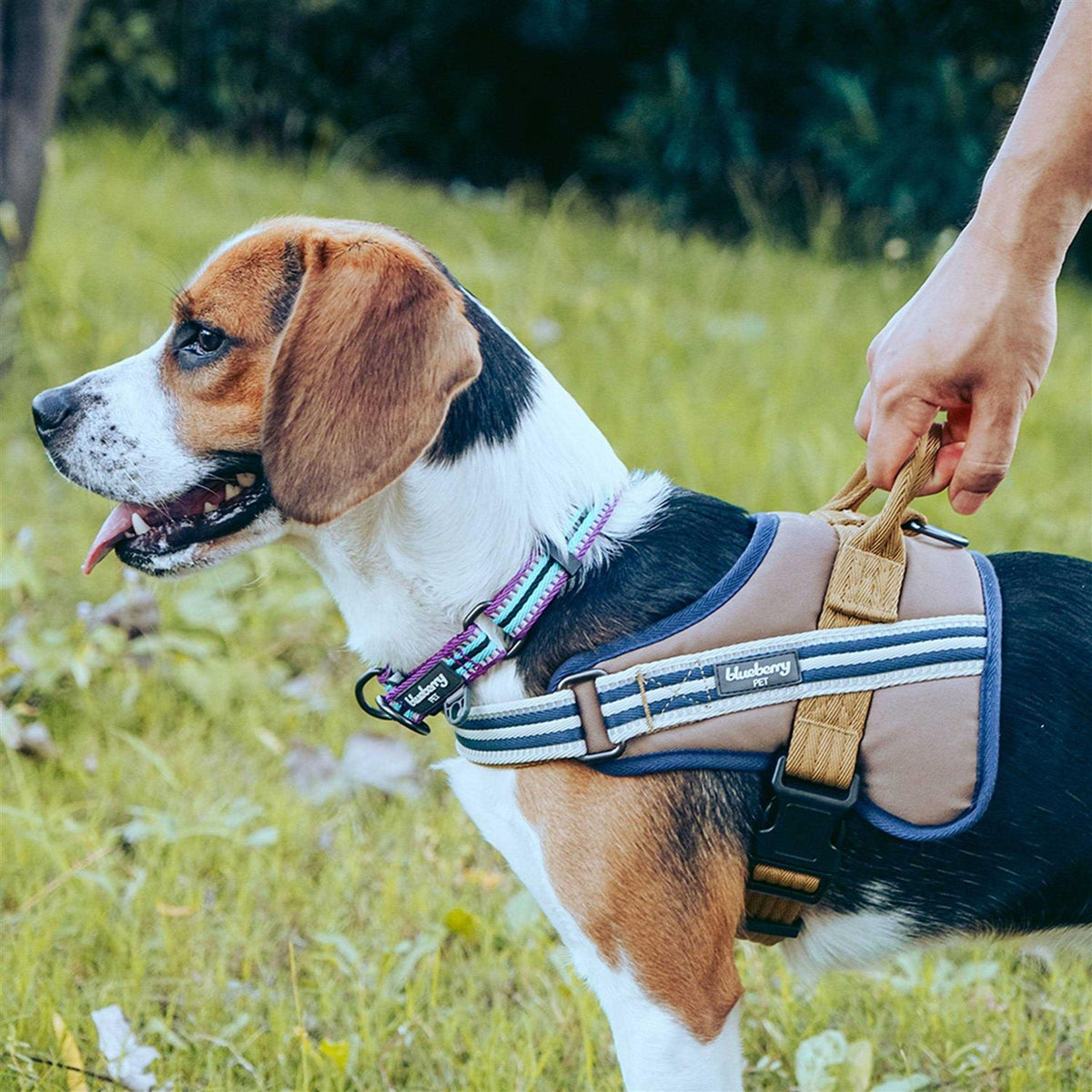 Reflective Dog Collar G7030