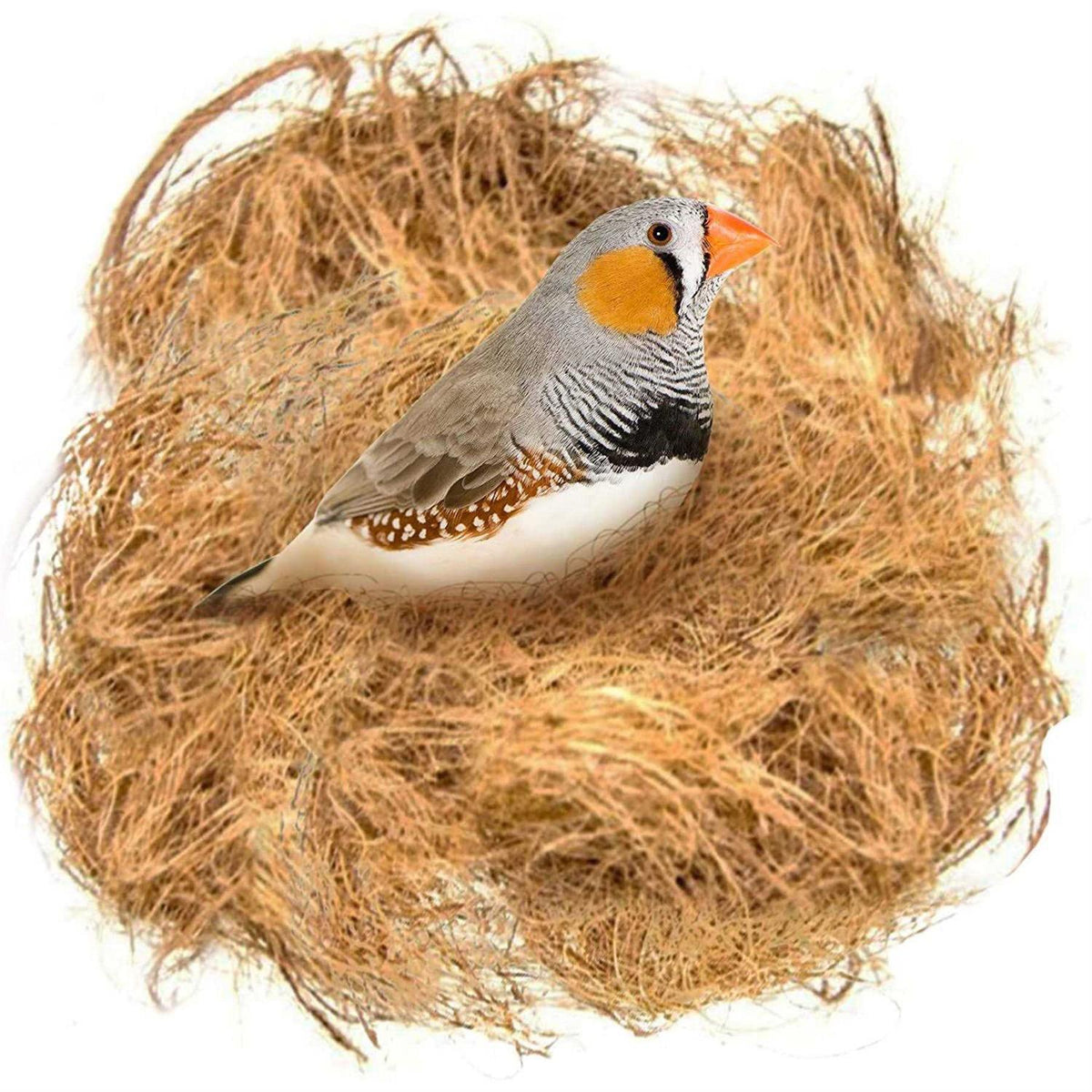Finch Coconut Fiber Loose Bedding Substrate for Bird Cages C8363