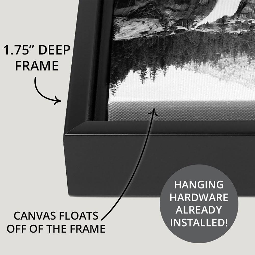 Black Float Frame Canvas Art - Wood - 20 x 30 I874797
