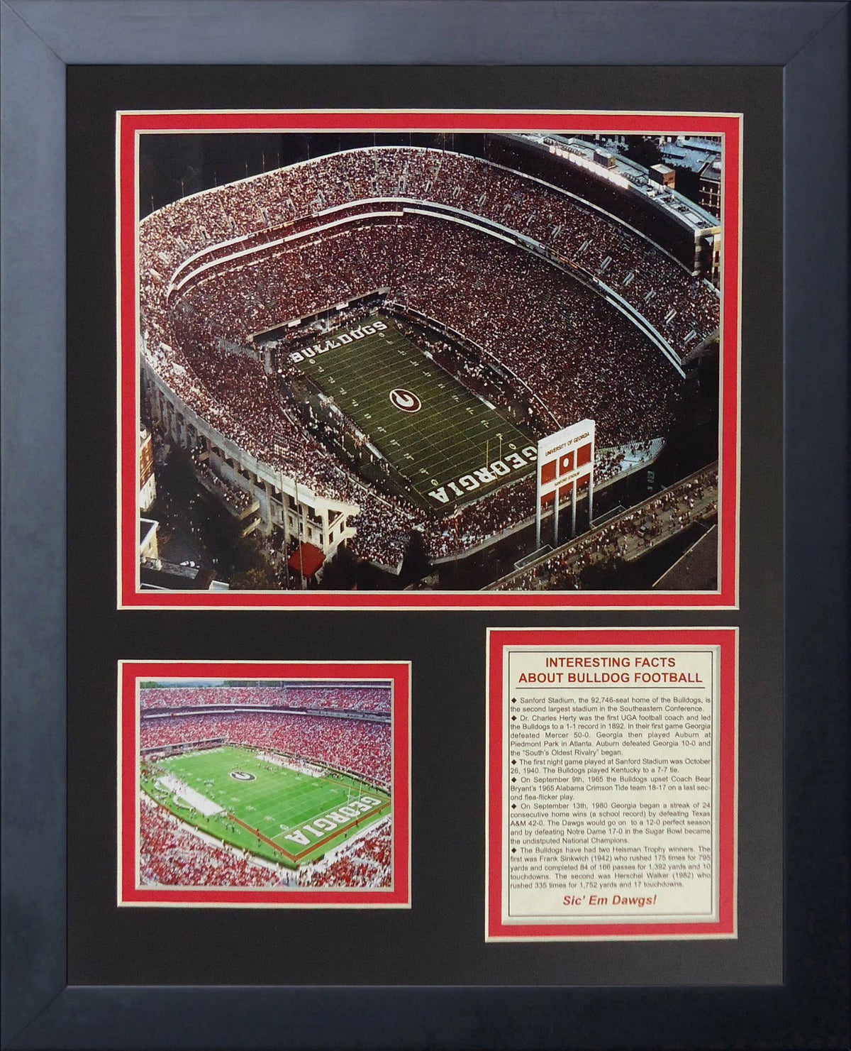 Framed Memorabilia W139534