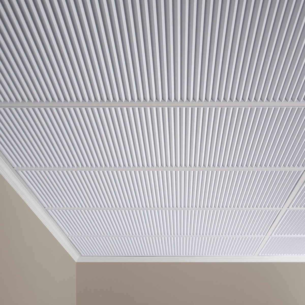 Acoustical Ceiling Tile 24 x 24 V4669