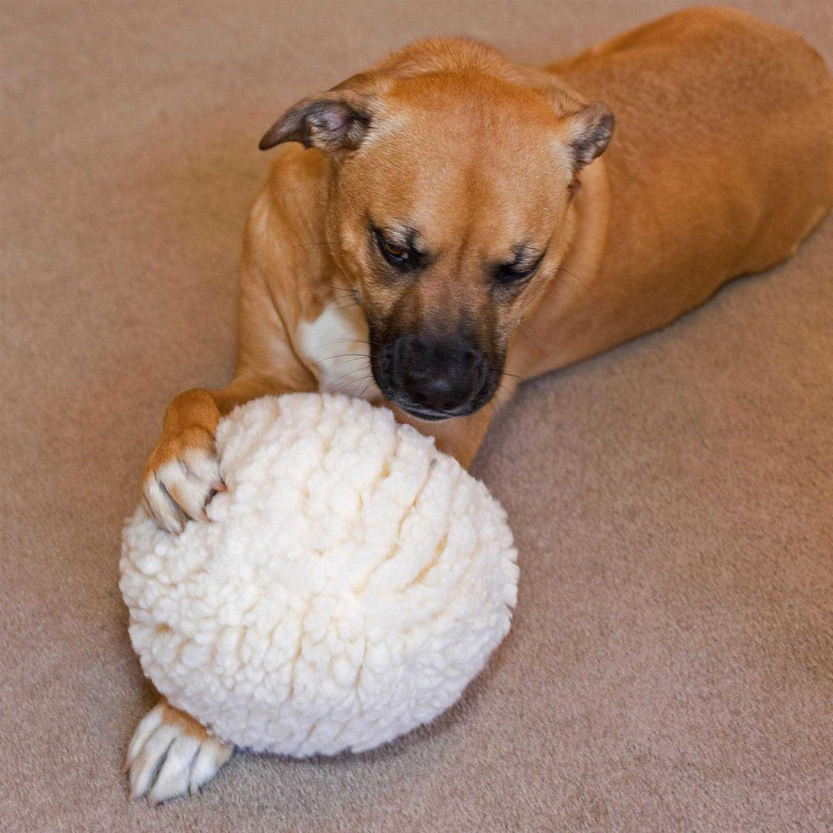 Fleece Ball Dog Toy L669
