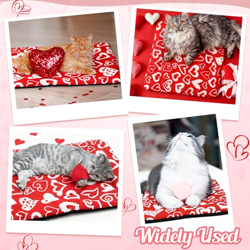 2 Pack Green Self Warming Cat Bed 18 x 24 Inch S79943