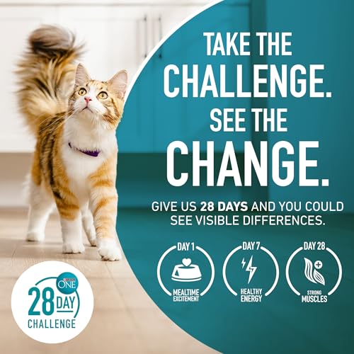 22 lb. Natural Dry Cat Food B35181