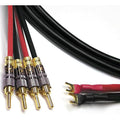 Speaker Cable 11 AWG 10 ft T151