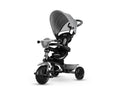 4-in-1 Tricycle C247633