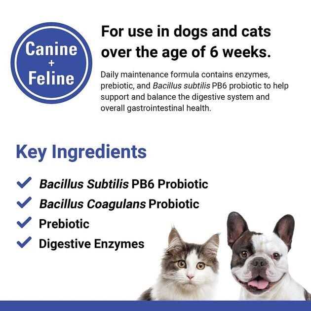 Pet Supplies C9175
