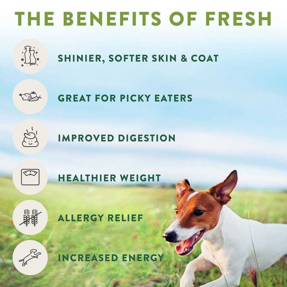 Tender Chicken Recipe Dog Food Roll H243197
