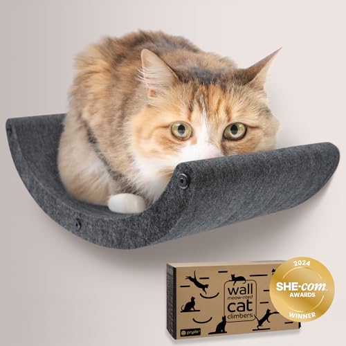Wall Mounted Cat Shelves Set of 4 PET Felt Climber Furniture R661