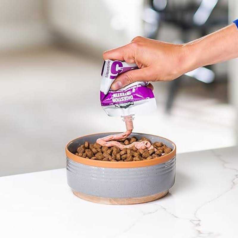 Squeezables Treat Topper Q9055