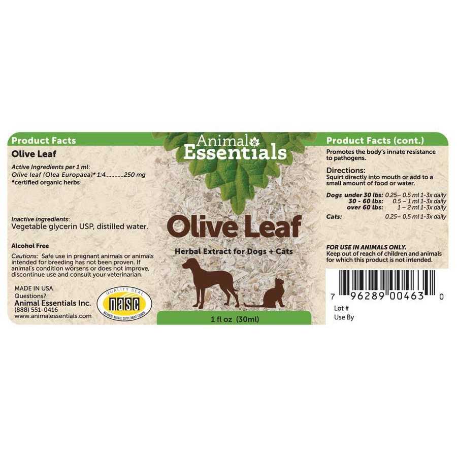 Olive Leaf Herbal Extract H36263