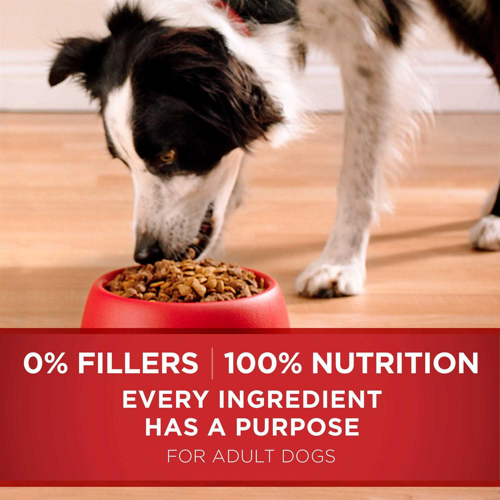 Lamb & Rice Dry Dog Food K25894