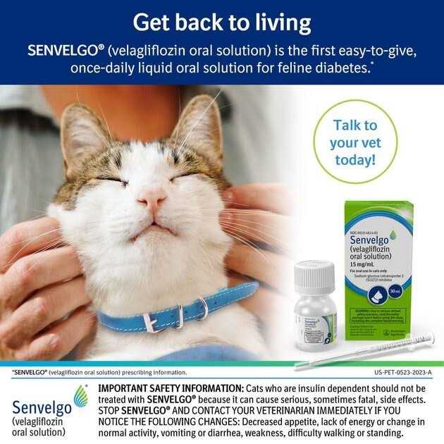 Senvelgo Oral Solution for Cats 15mg/ml H713367
