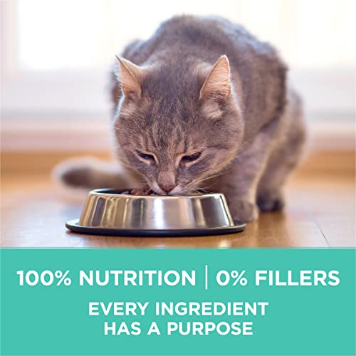 22 lb. Natural Dry Cat Food B35181