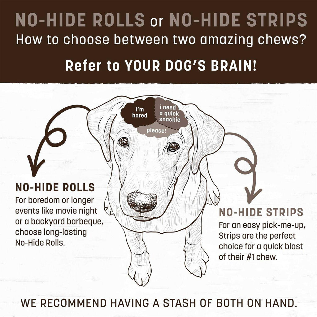 Dog No Hide Salmon Pet Supplies H488786