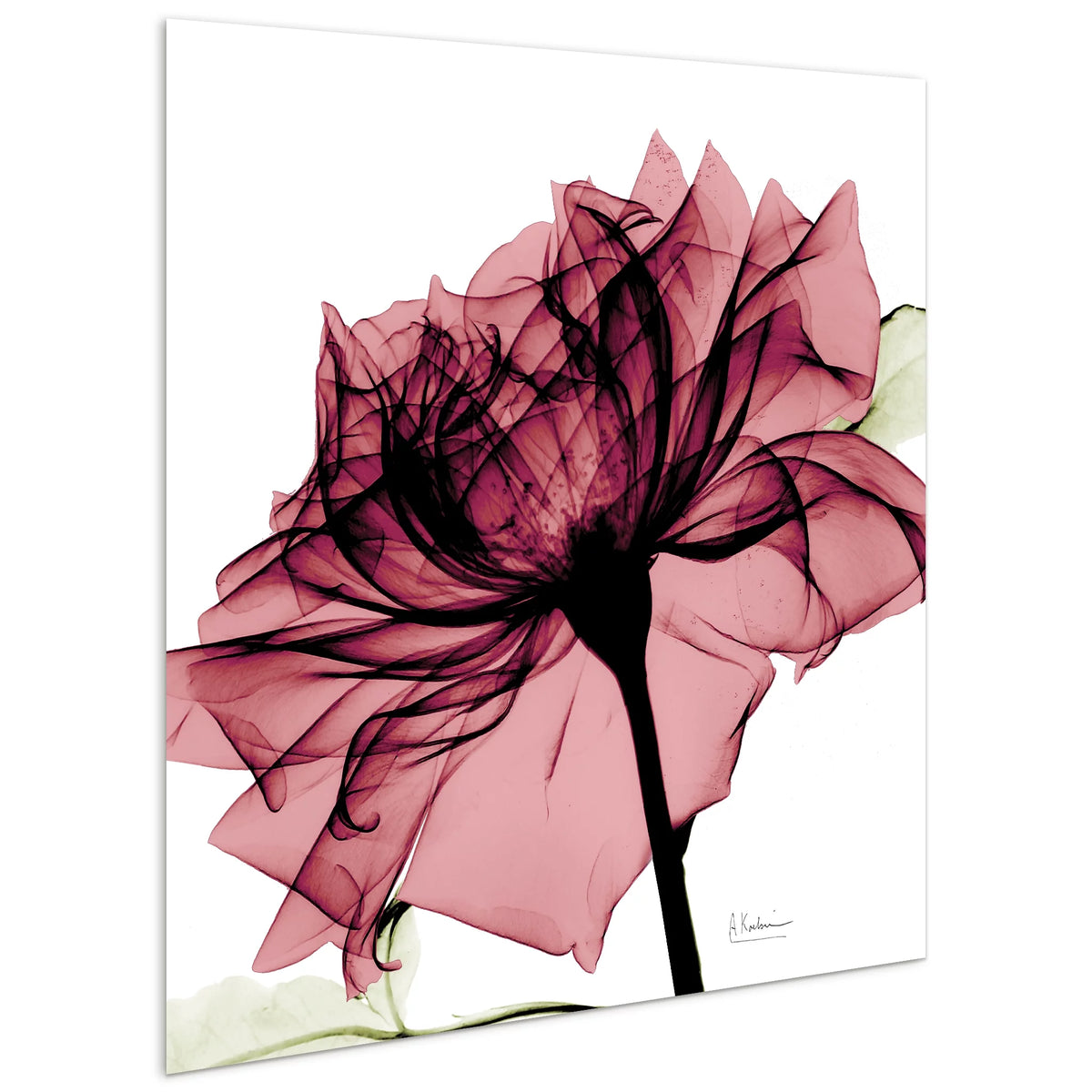 Tempered Glass Panel Wall Art, 24" x 24" V4586