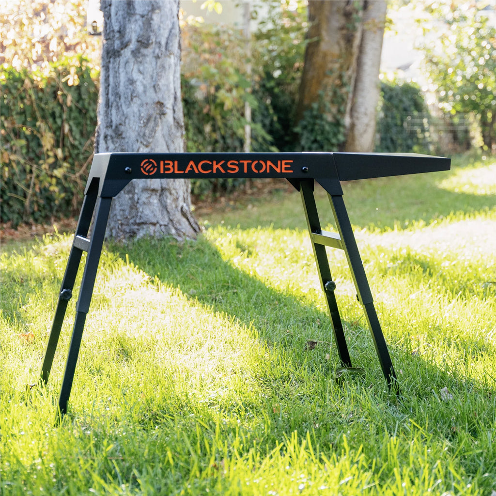 Portable Griddle Grill Stand L861952