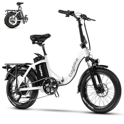 20" Folding Electric Bike with 48V20A Removable Lithium-Battery L498