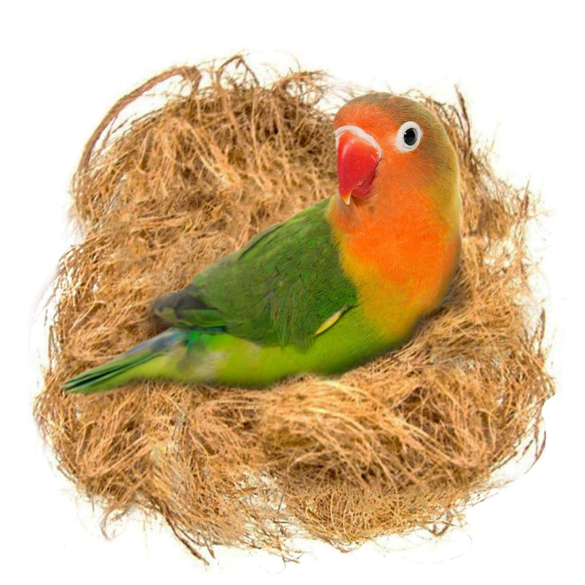 Finch Coconut Fiber Loose Bedding Substrate for Bird Cages C8363