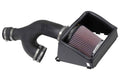 Performance Air Intake System P918