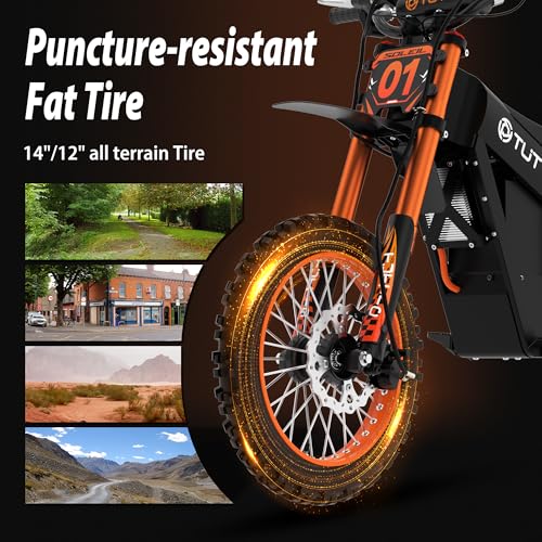 48V 21AH Removable Battery Electric Dirt Bike with Hydraulic Brakes Y412