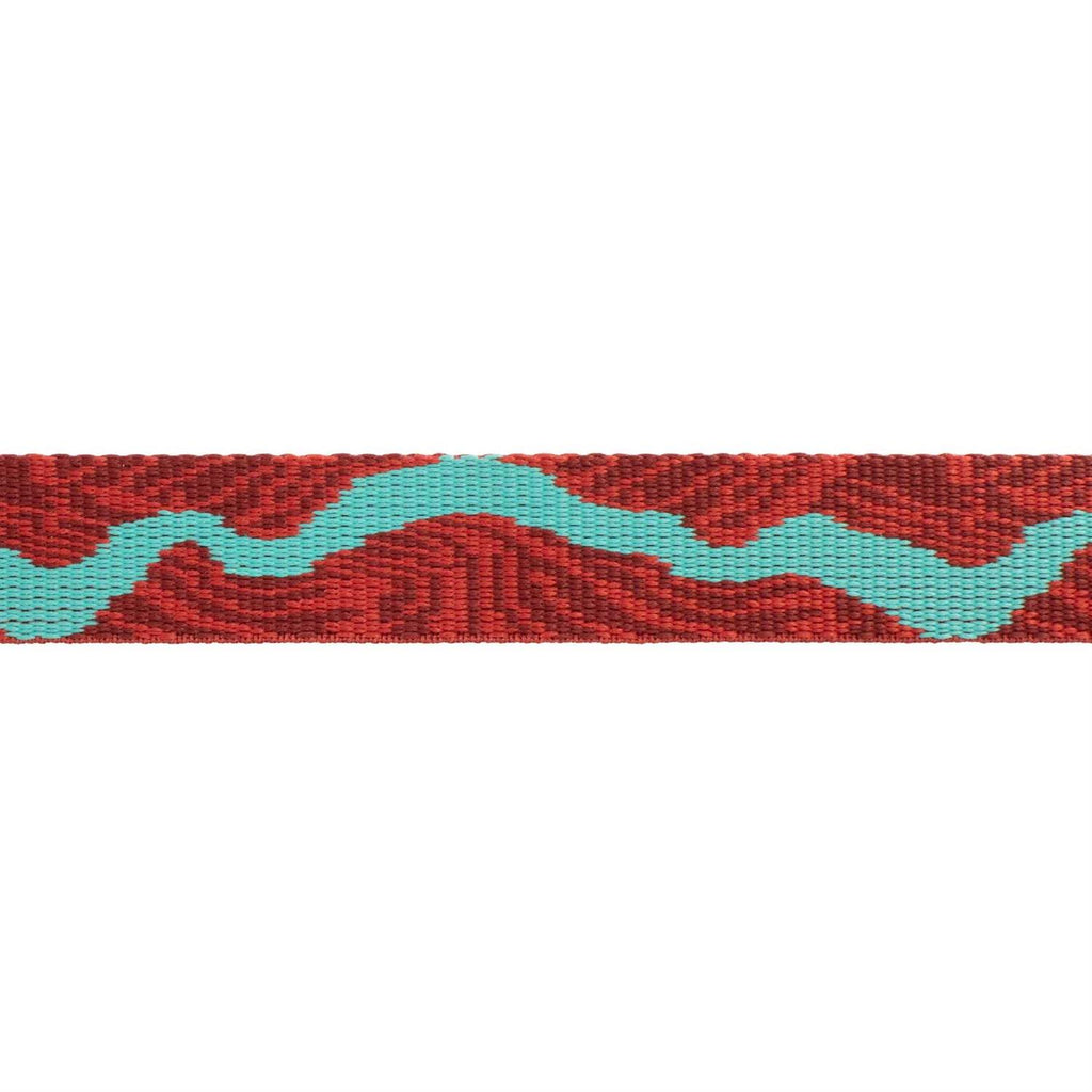 Dog Collar F301