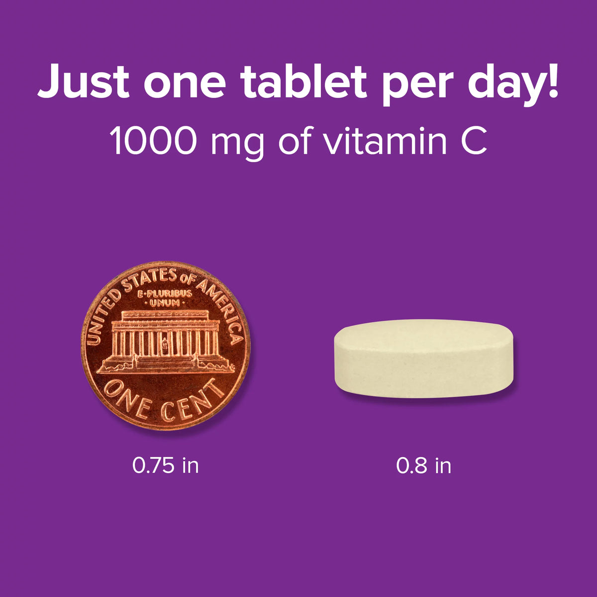 Vitamin C Timed Release 1,000 mg 250 Tablets Vegetarian H209705