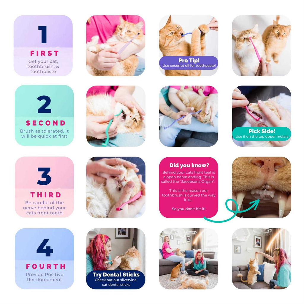Dual Sided Cat Toothbrush E985