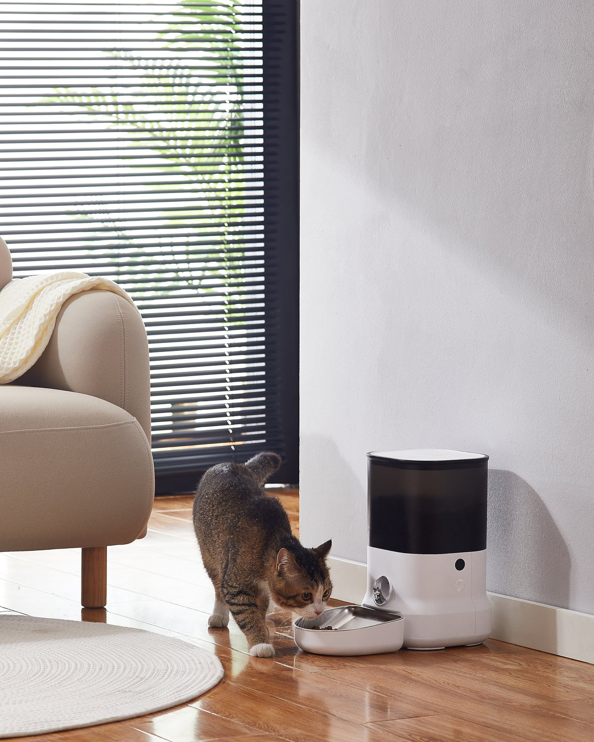 App Feeder for Dogs and Cats 4 Liters Q894115