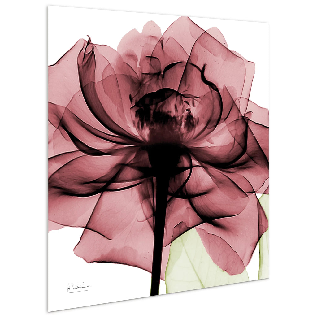 Tempered Glass Panel Wall Art, 24" x 24" V4586