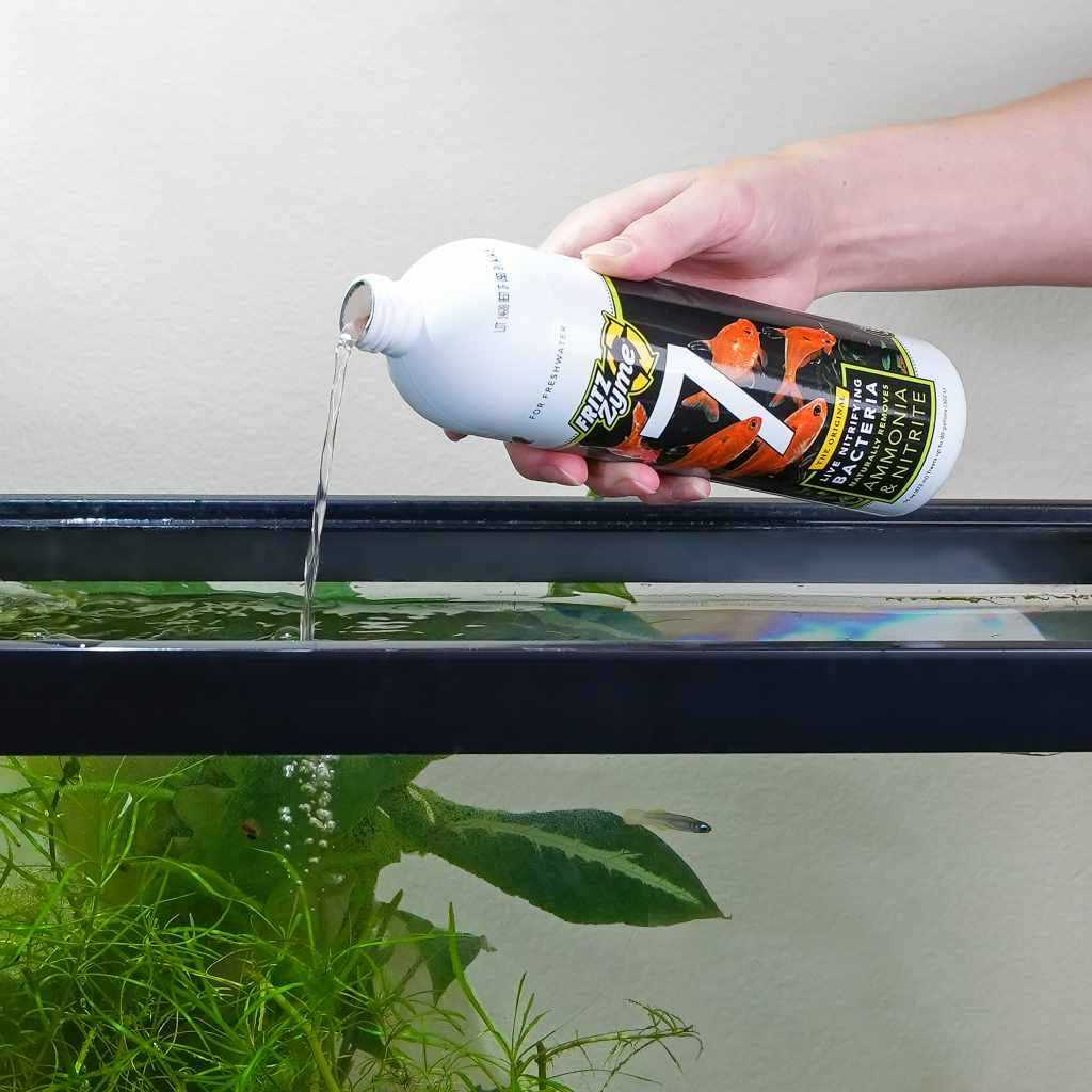 Freshwater Nitrifying Bacteria P2122