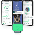 Dog Health & Fitness Tracker Smart Device F56229