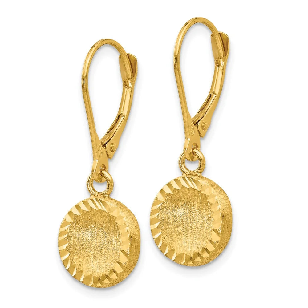 14k Brushed and Polished Diamond-cut Circle Leverback Earrings D81982