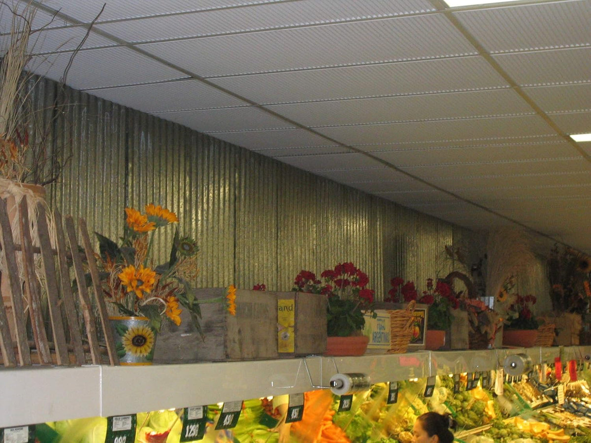 Acoustical Ceiling Tile 24 x 24 V4669